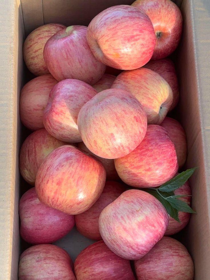 Sun-Kissed Orchard Variety Fruit Pack